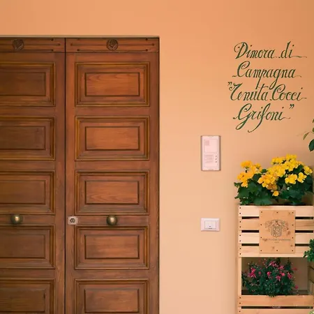 Tenuta Cocci Grifoni - Wine Cellar Family Suites * San Giovanni (Offida)